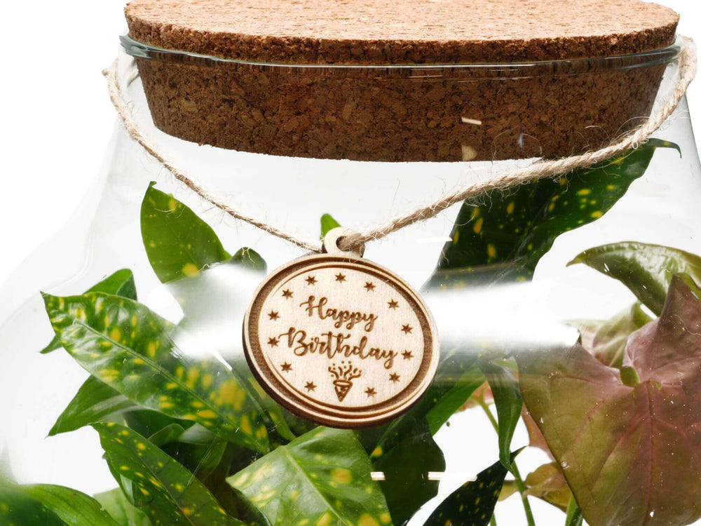 Plant Lover Birthday Gift