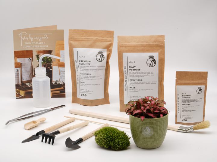 Basic Terrarium Starter Kit - Various sizes