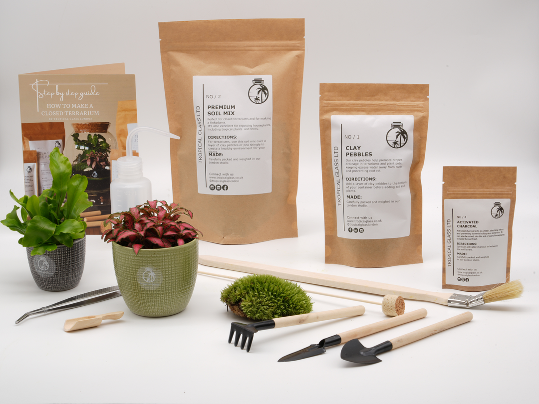 Basic Terrarium Starter Kit - Various sizes