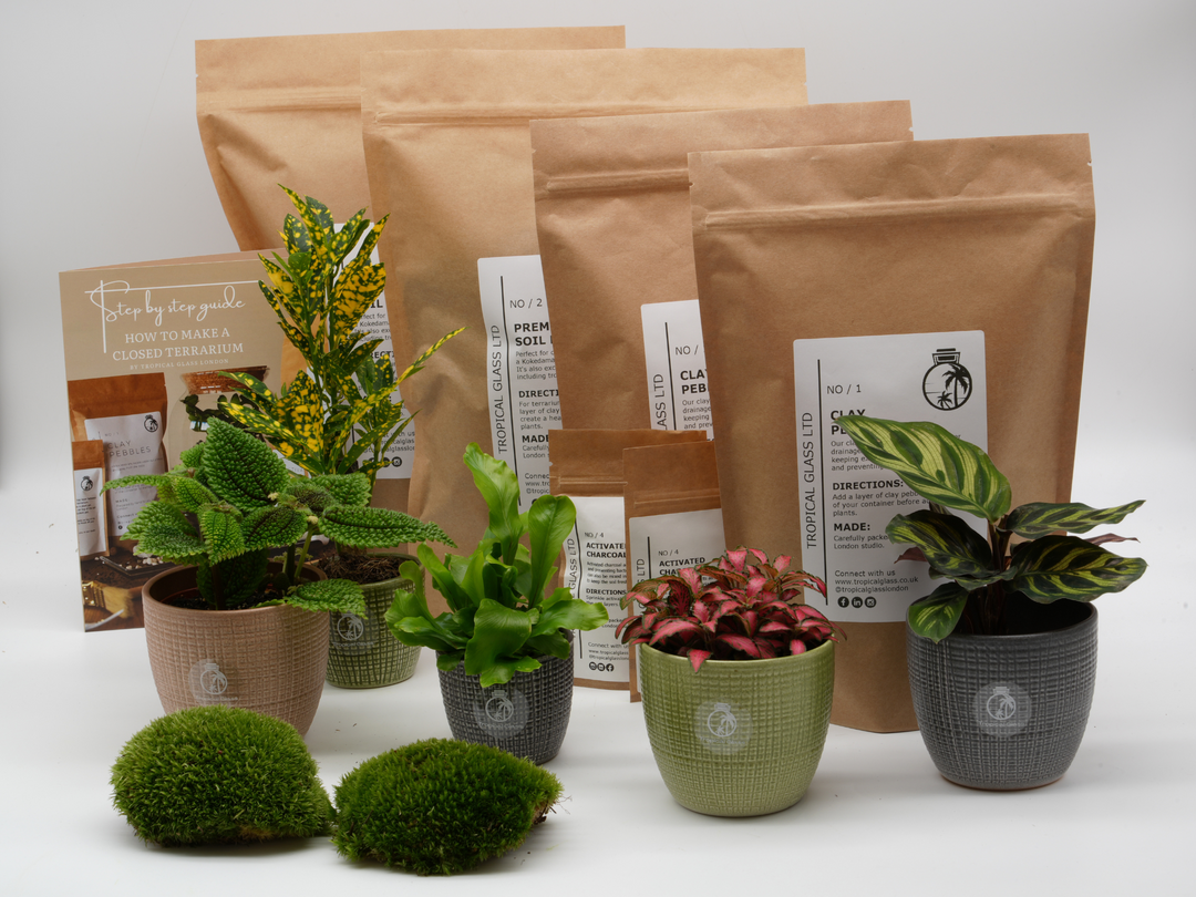 XL Terrarium Starter Kit